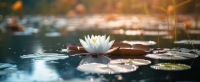 Thế N&agrave;o L&agrave; Tỉnh Thức